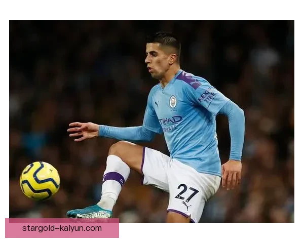 坎塞洛比赛阅读