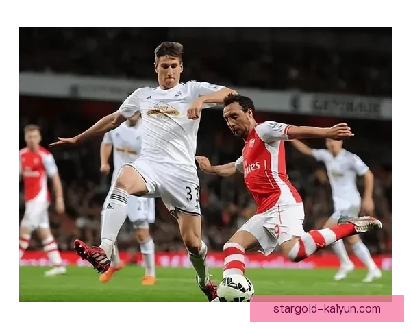 赫尔城新赛季阵容大曝光，年轻力量与经验结合，备受期待升级挑战。