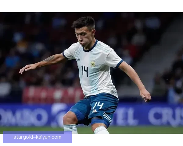 利桑德罗在阿根廷世界杯冠军之路上的关键表现分析